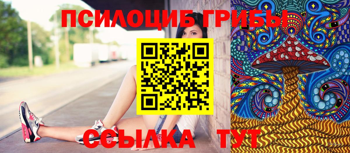 Киржач  Галлюциногенные грибы GOLDEN TEACHER  Вход с VPN  Псилоцибиновые грибы мухоморы 