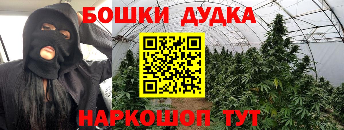 Каннабис ГИДРОПОН  Вход с VPN  Шишки марихуана сатива  Шишки марихуана White Widow  Киржач  Марихуана AK-47 